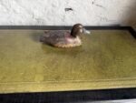20th Century Hand Painted Duck Decoy - Image 4